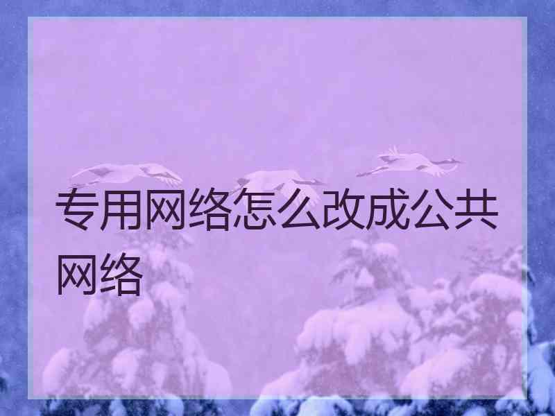 专用网络怎么改成公共网络