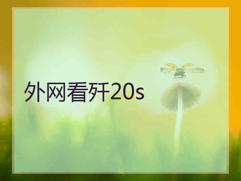 外网看歼20s