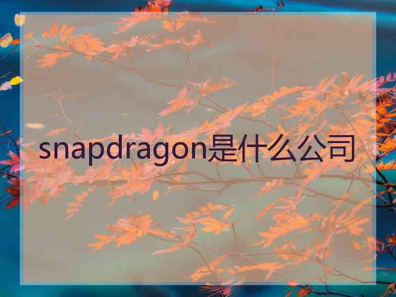 snapdragon是什么公司