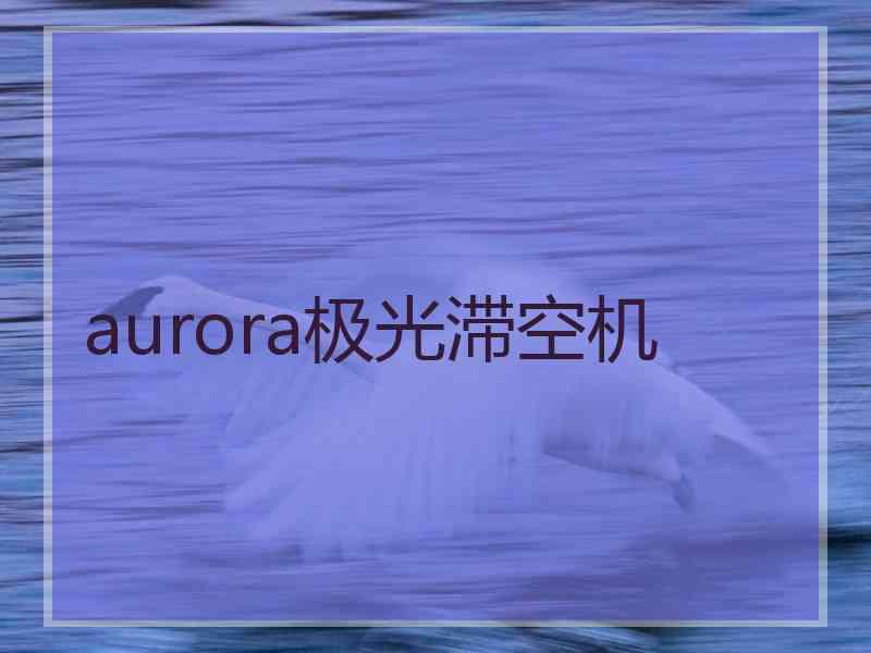 aurora极光滞空机