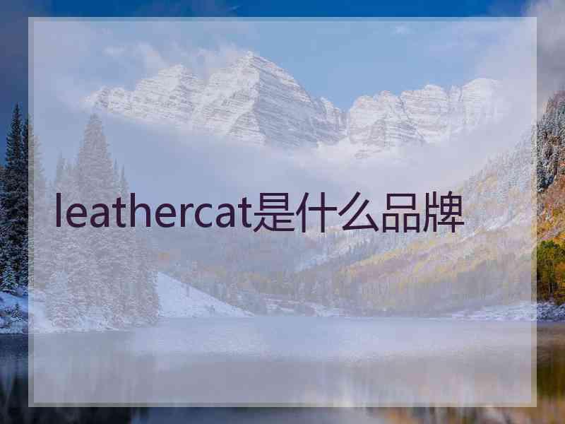 leathercat是什么品牌