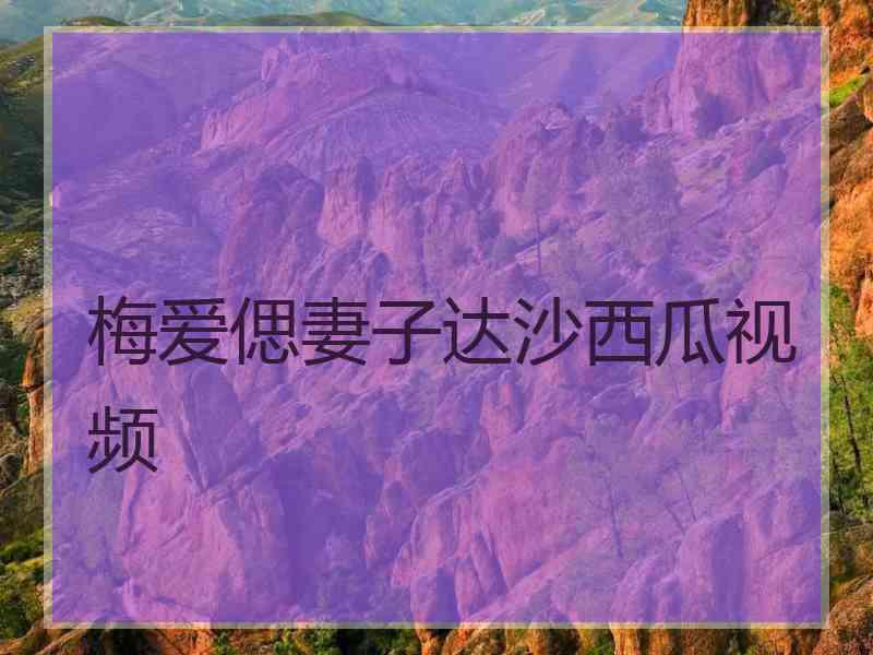 梅爱偲妻子达沙西瓜视频