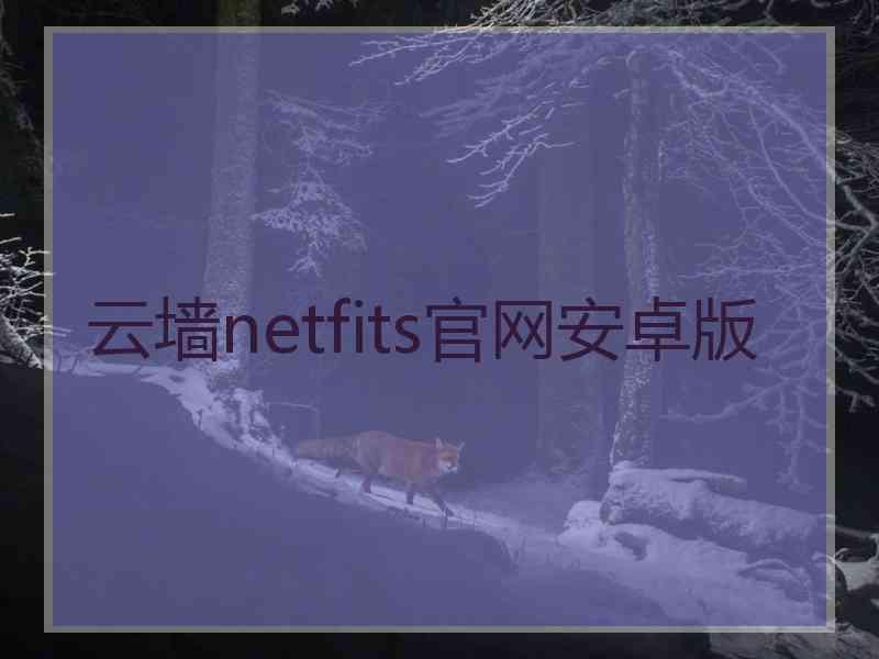 云墙netfits官网安卓版