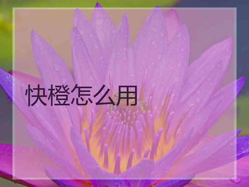 快橙怎么用