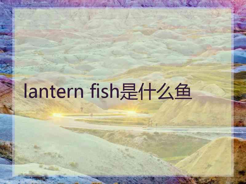 lantern fish是什么鱼