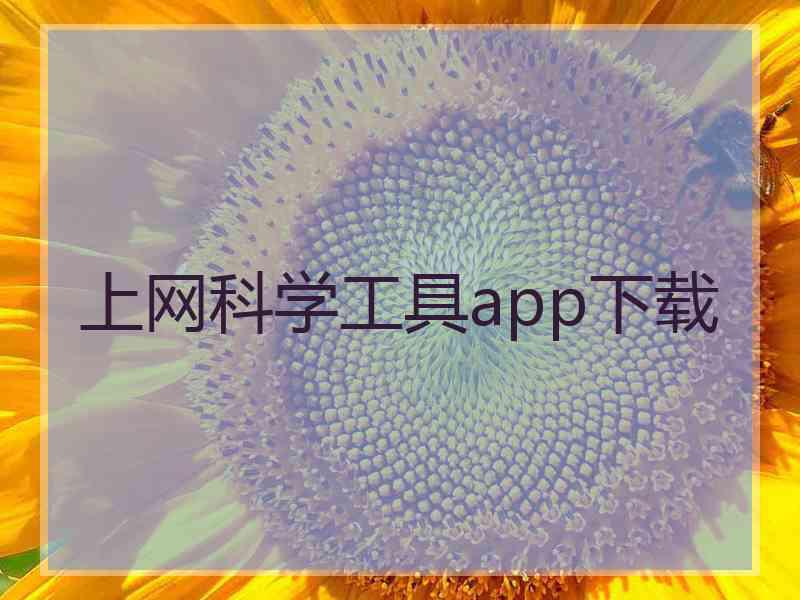 上网科学工具app下载