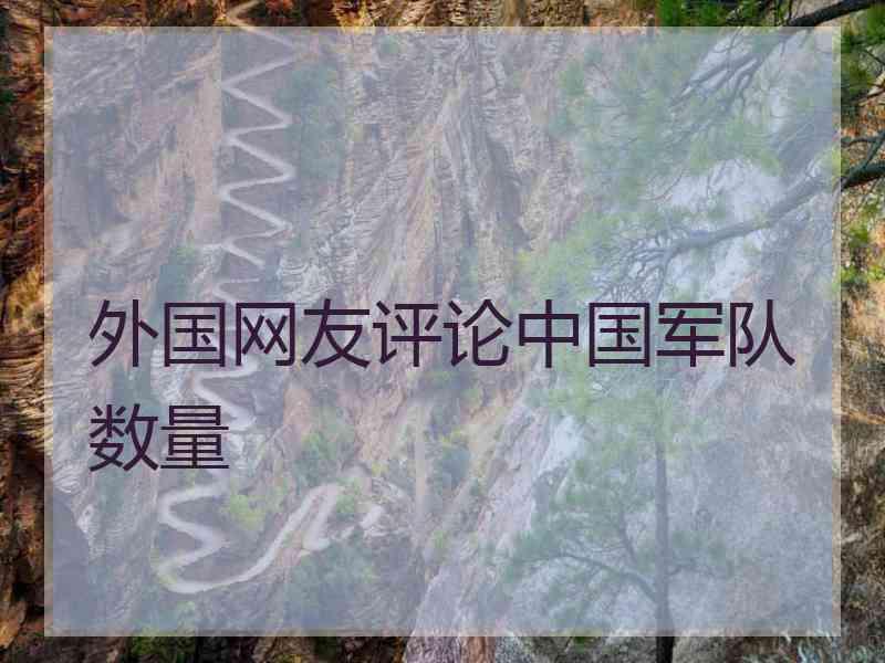 外国网友评论中国军队数量