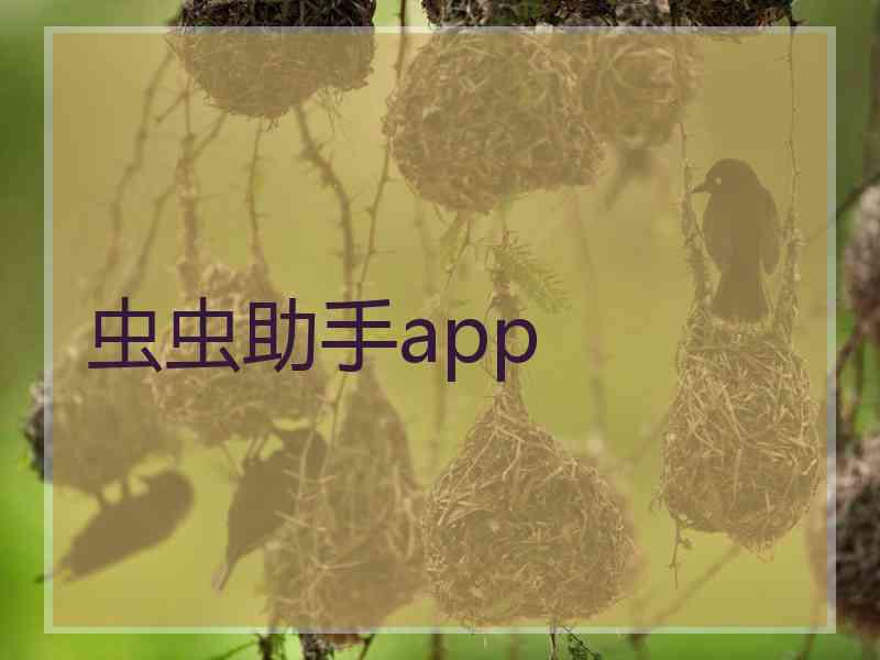 虫虫助手app