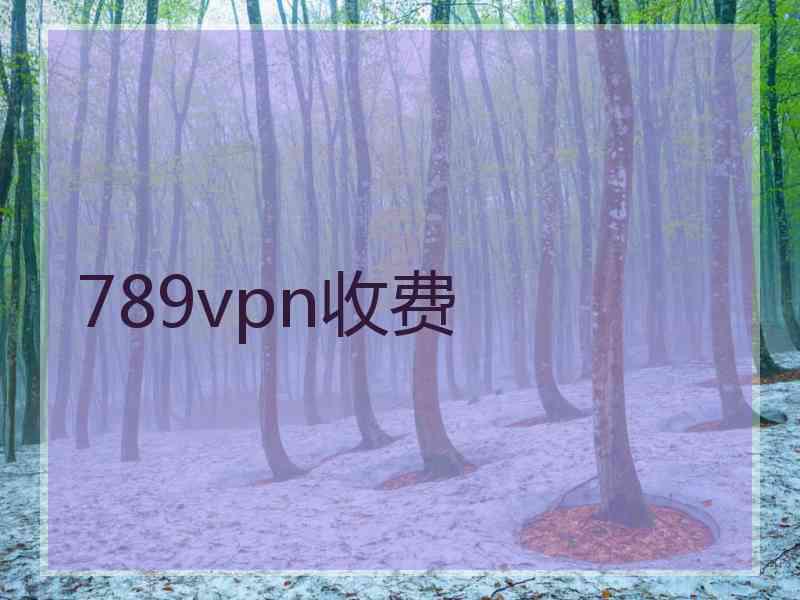 789vpn收费