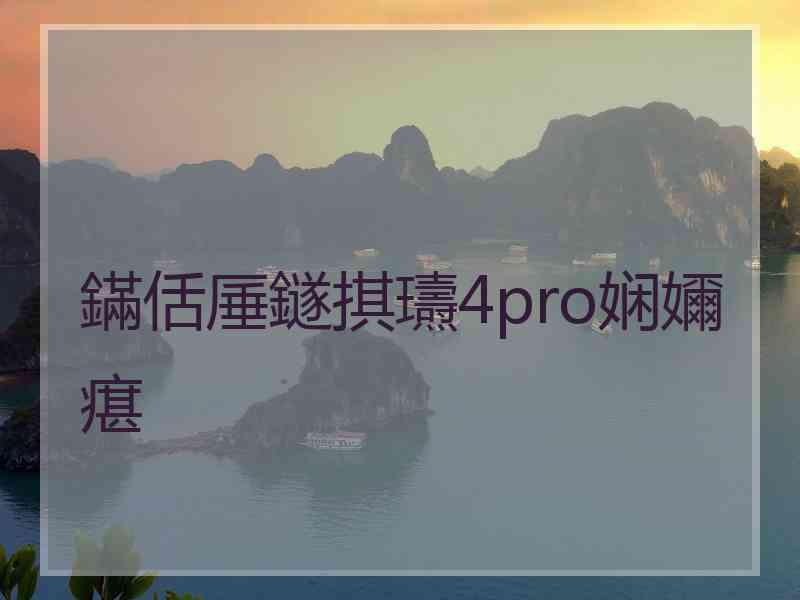 鏋佸厜鐩掑瓙4pro娴嬭瘎