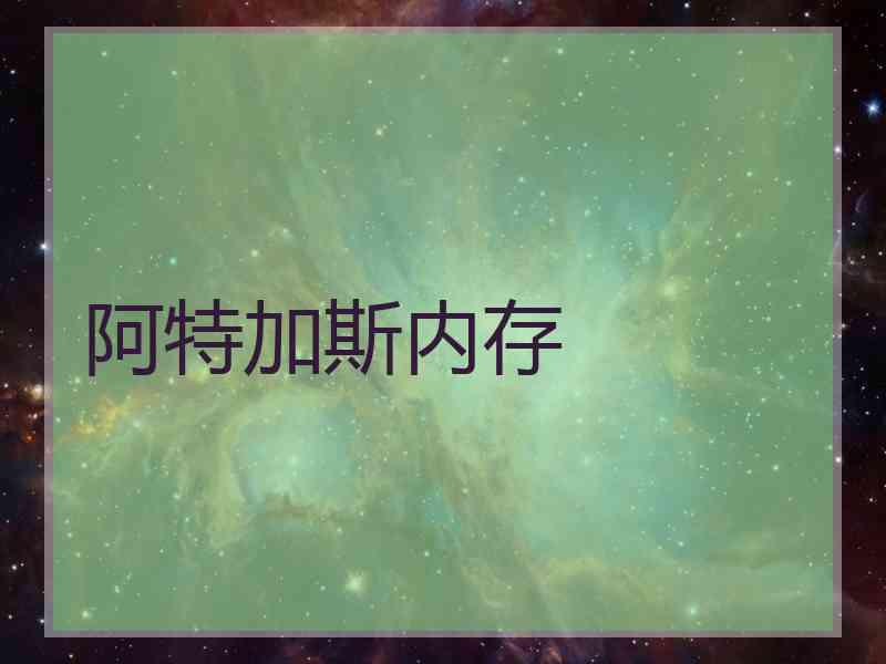 阿特加斯内存