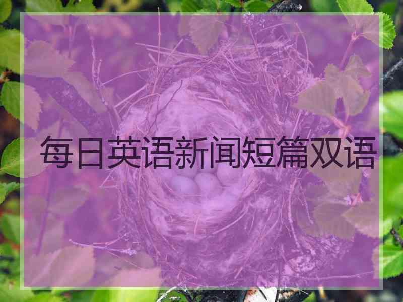 每日英语新闻短篇双语