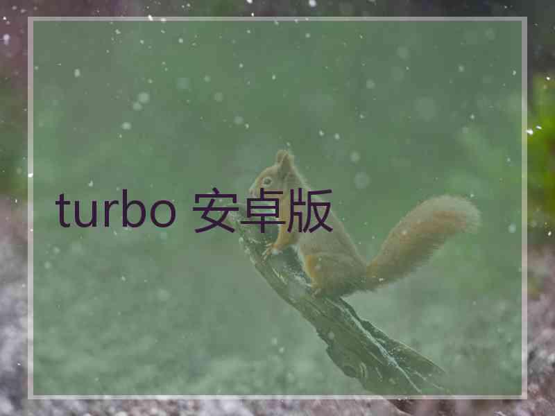 turbo 安卓版