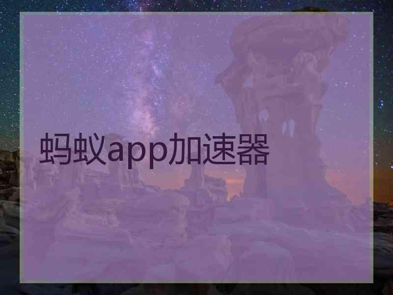 蚂蚁app加速器