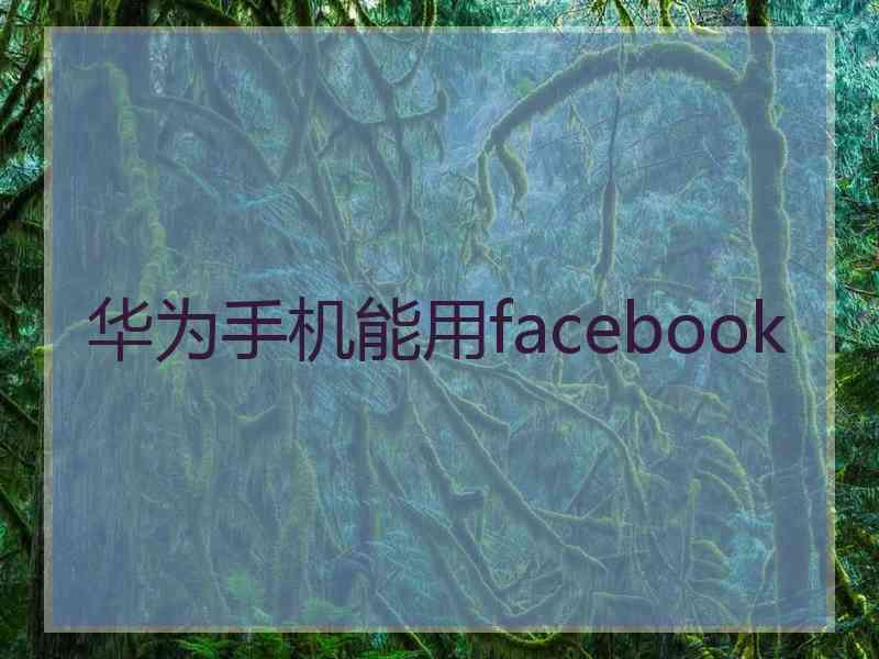 华为手机能用facebook