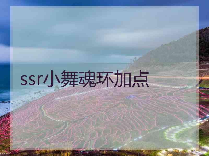 ssr小舞魂环加点