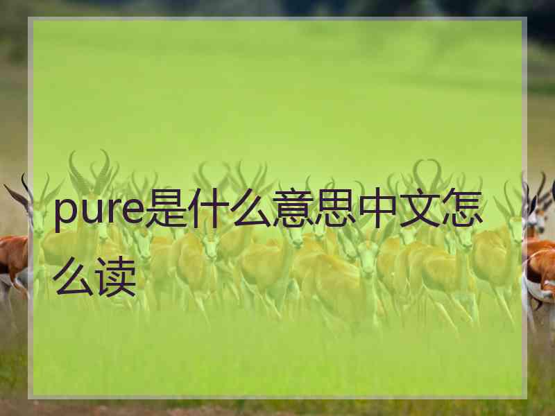 pure是什么意思中文怎么读