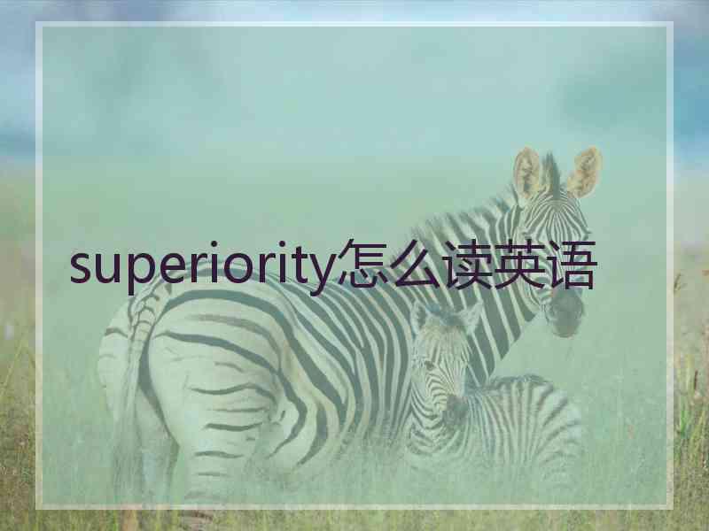 superiority怎么读英语