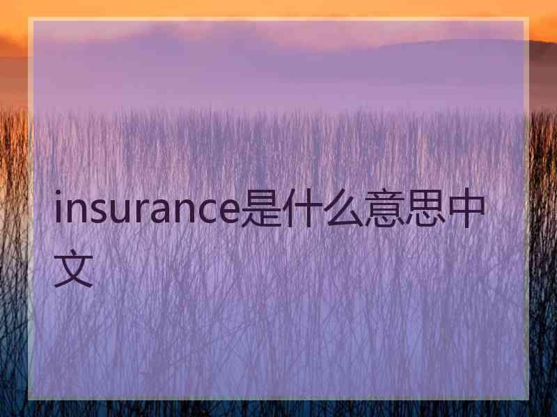 insurance是什么意思中文