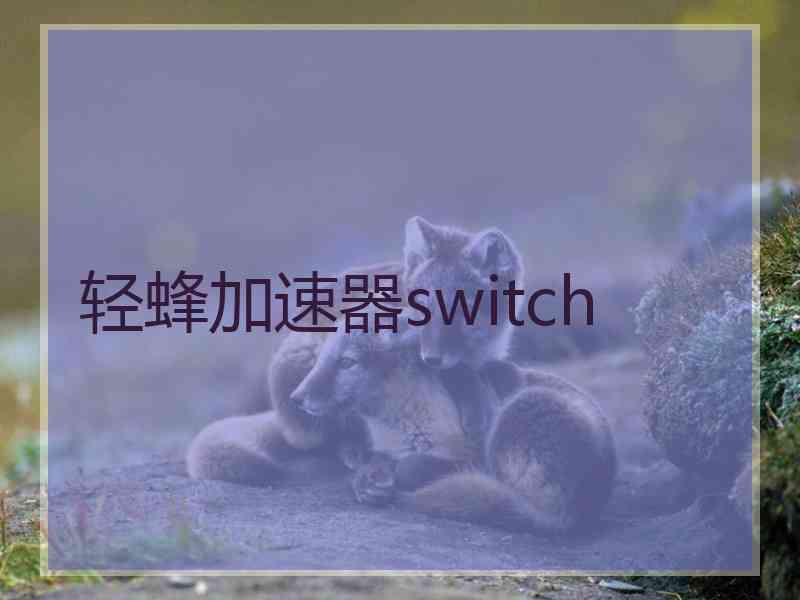 轻蜂加速器switch