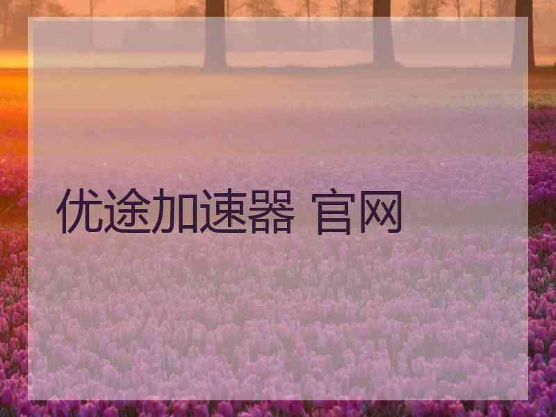 优途加速器 官网