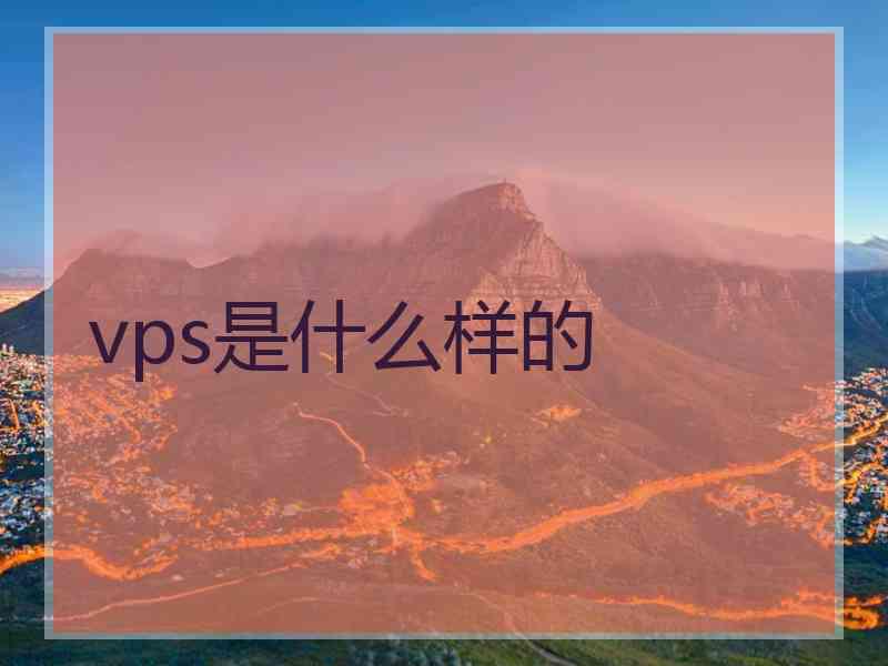 vps是什么样的