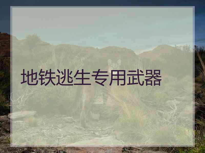 地铁逃生专用武器
