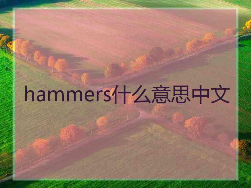 hammers什么意思中文