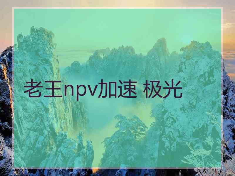 老王npv加速 极光