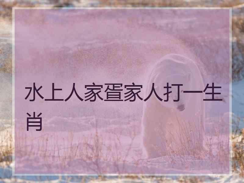 水上人家疍家人打一生肖