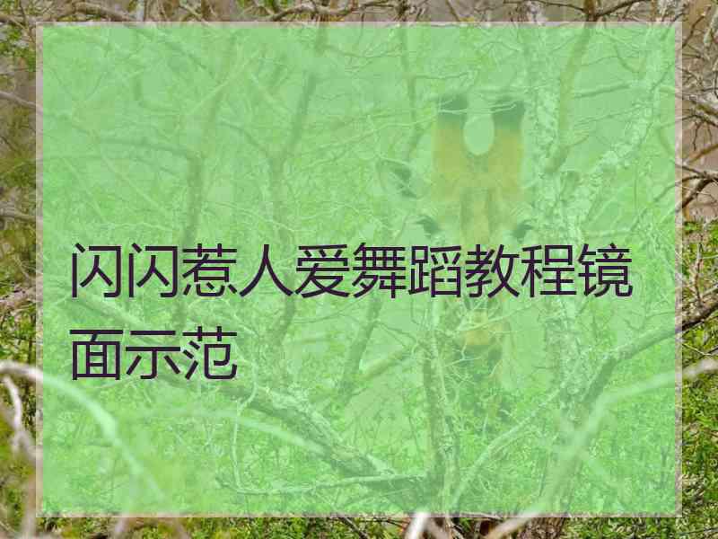 闪闪惹人爱舞蹈教程镜面示范