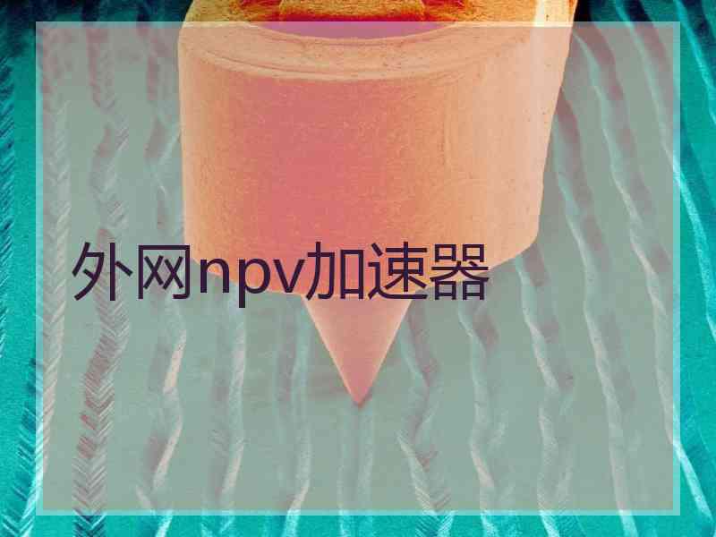 外网npv加速器