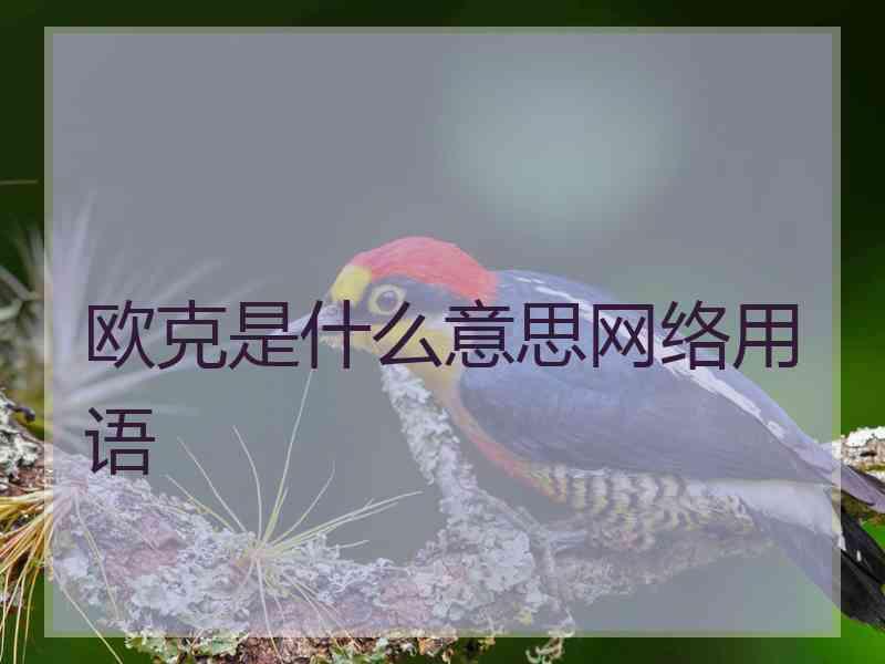 欧克是什么意思网络用语