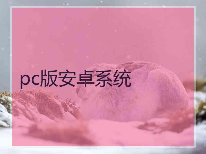 pc版安卓系统