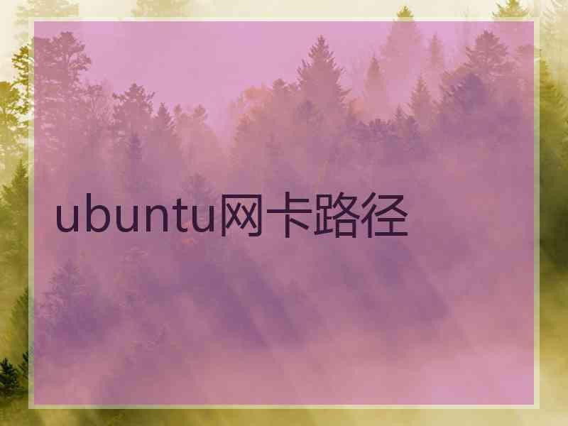 ubuntu网卡路径