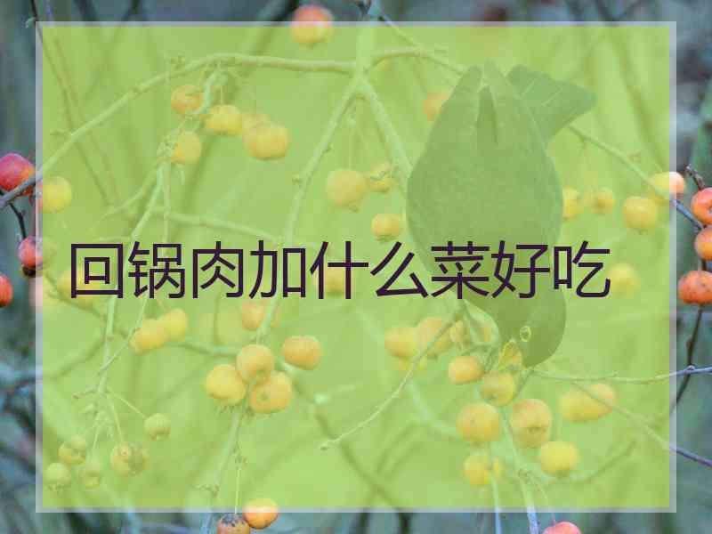 回锅肉加什么菜好吃