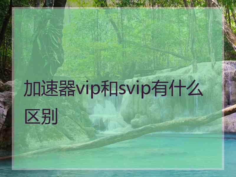 加速器vip和svip有什么区别