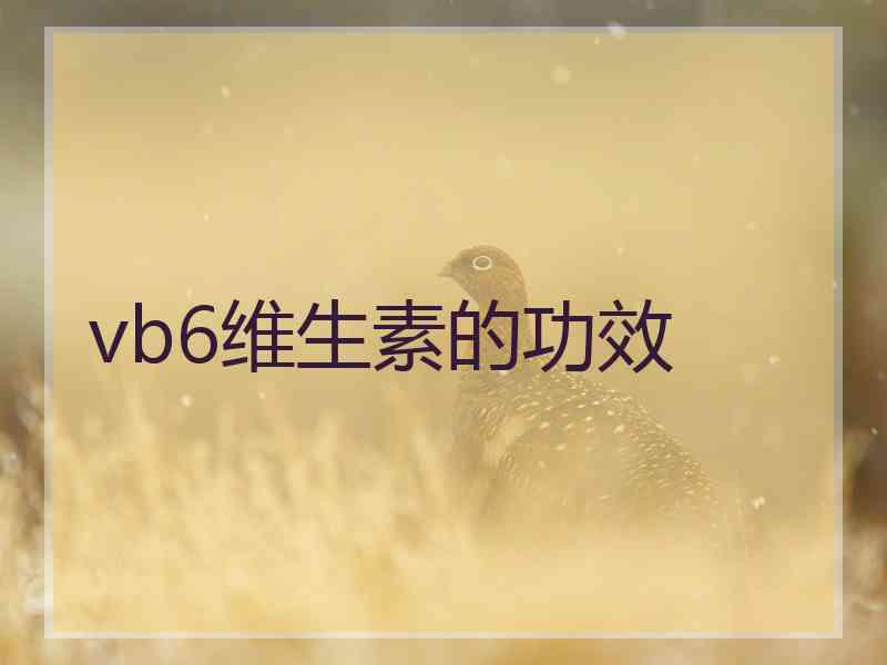 vb6维生素的功效