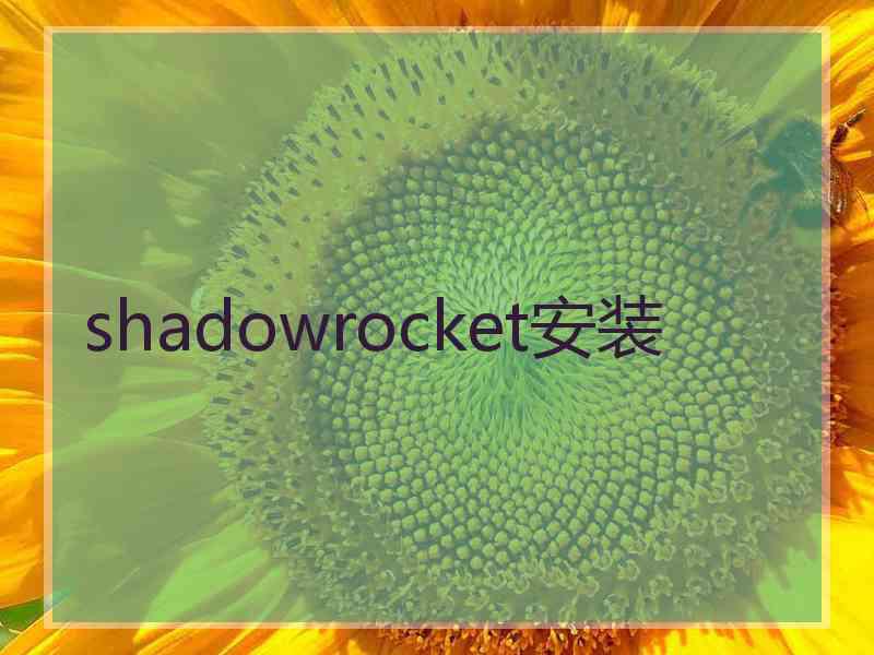 shadowrocket安装