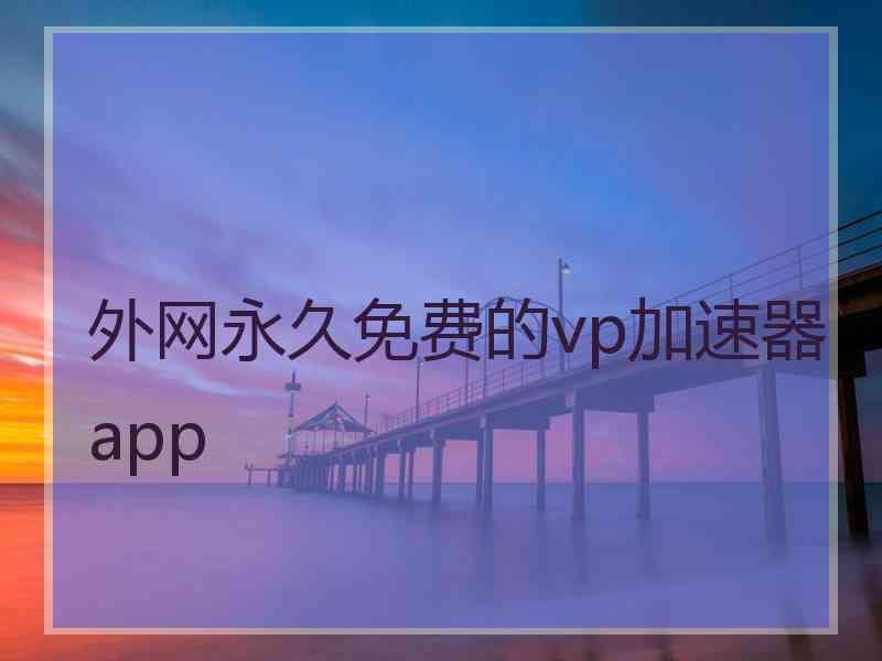 外网永久免费的vp加速器app