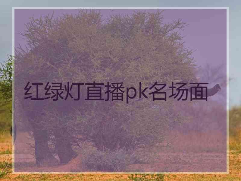 红绿灯直播pk名场面