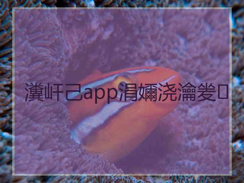 瀵屽己app涓嬭浇瀹夎