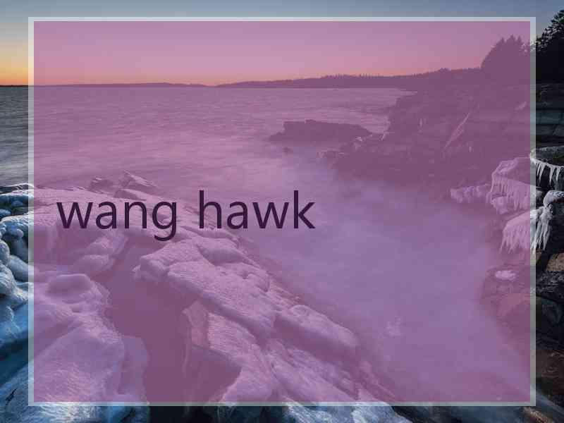 wang hawk