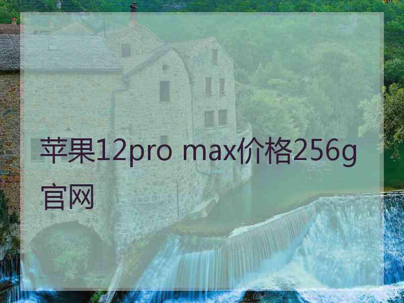 苹果12pro max价格256g官网