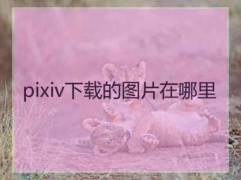 pixiv下载的图片在哪里