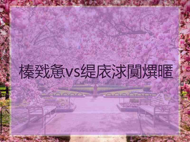 榛戣惫vs缇庡浗闃熼暱