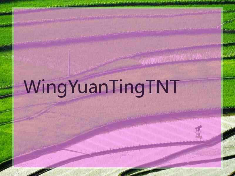 WingYuanTingTNT