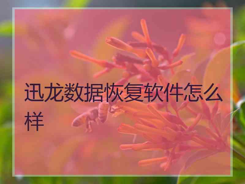 迅龙数据恢复软件怎么样