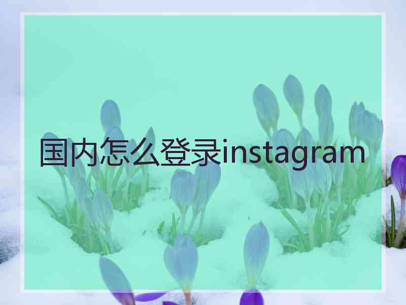 国内怎么登录instagram