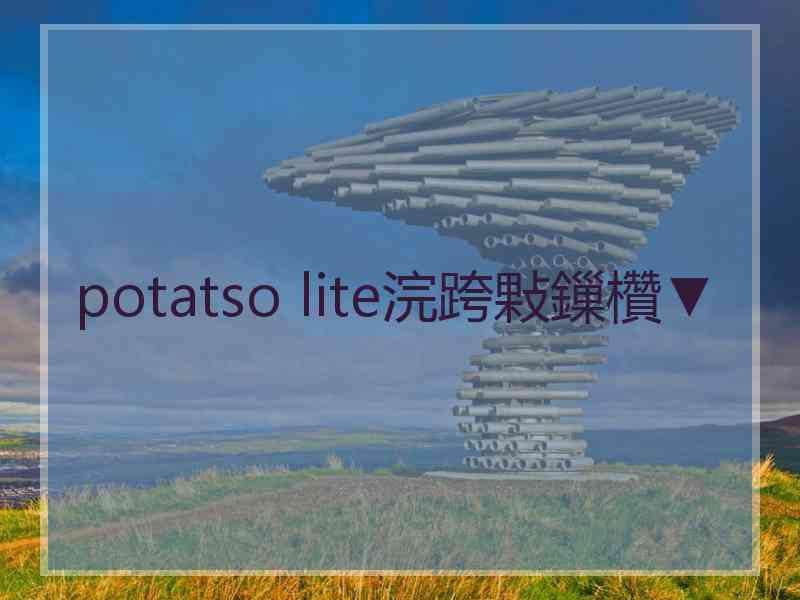 potatso lite浣跨敤鏁欑▼